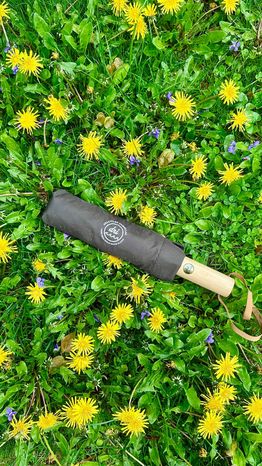 5 Reasons a Quality Umbrella is Worth the Investment