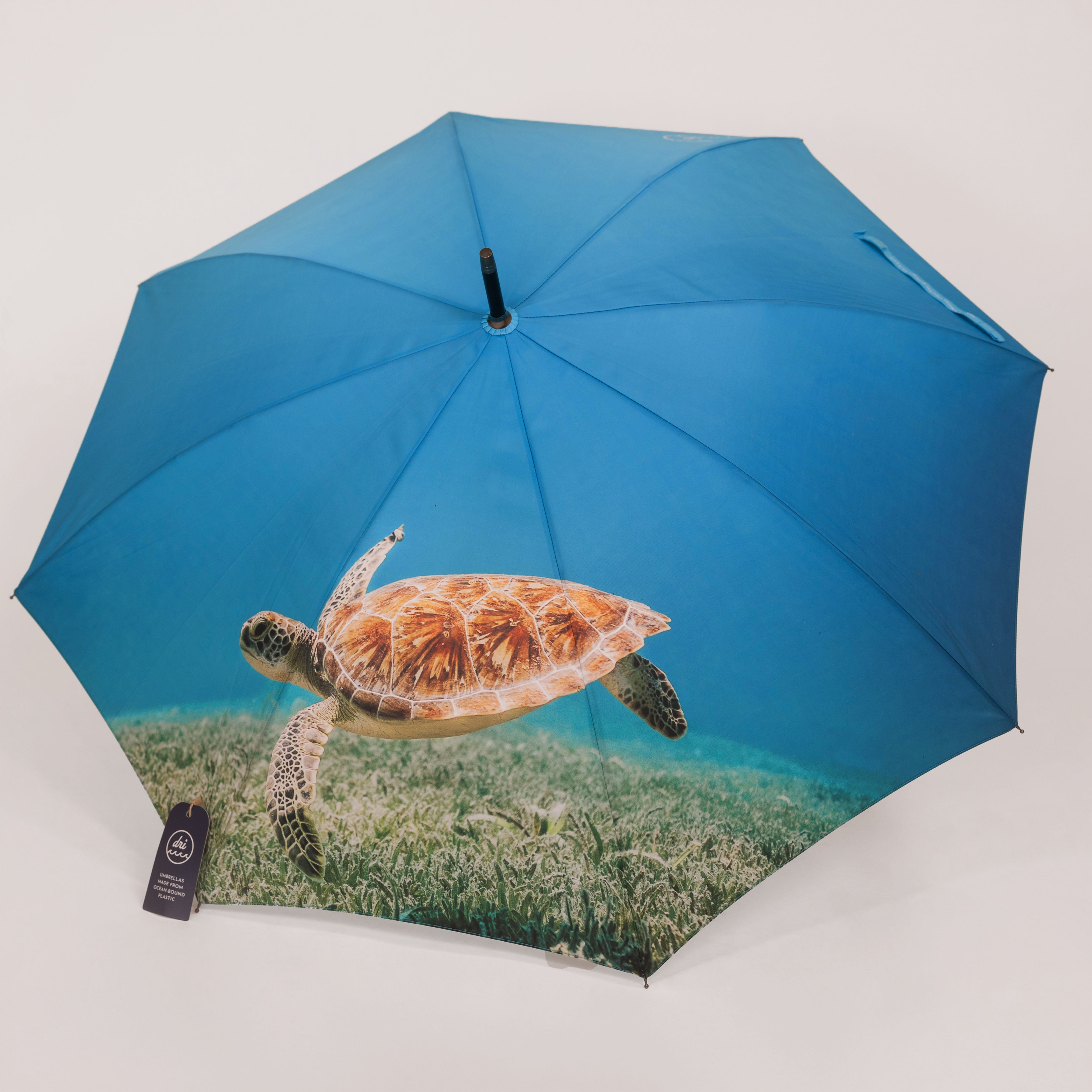umbrella出品 Shelly the Sea Turtle Eco-Friendly Umbrella – Dri Umbrellas