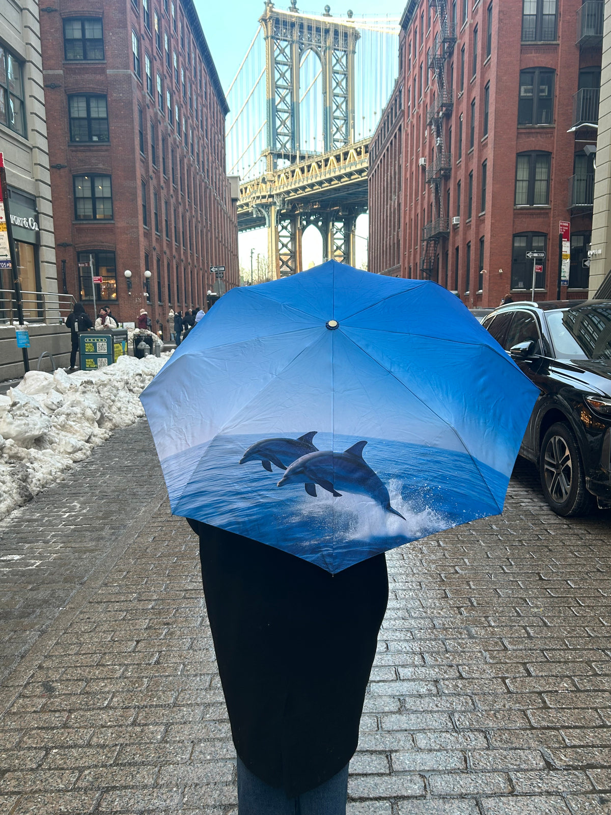 Daphne & Dolly the Dolphins Eco-friendly Compact Umbrella