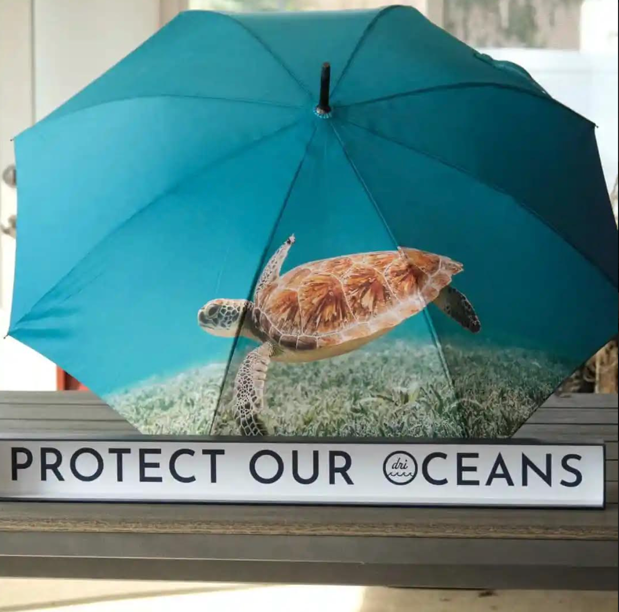 turtle rain umbrella