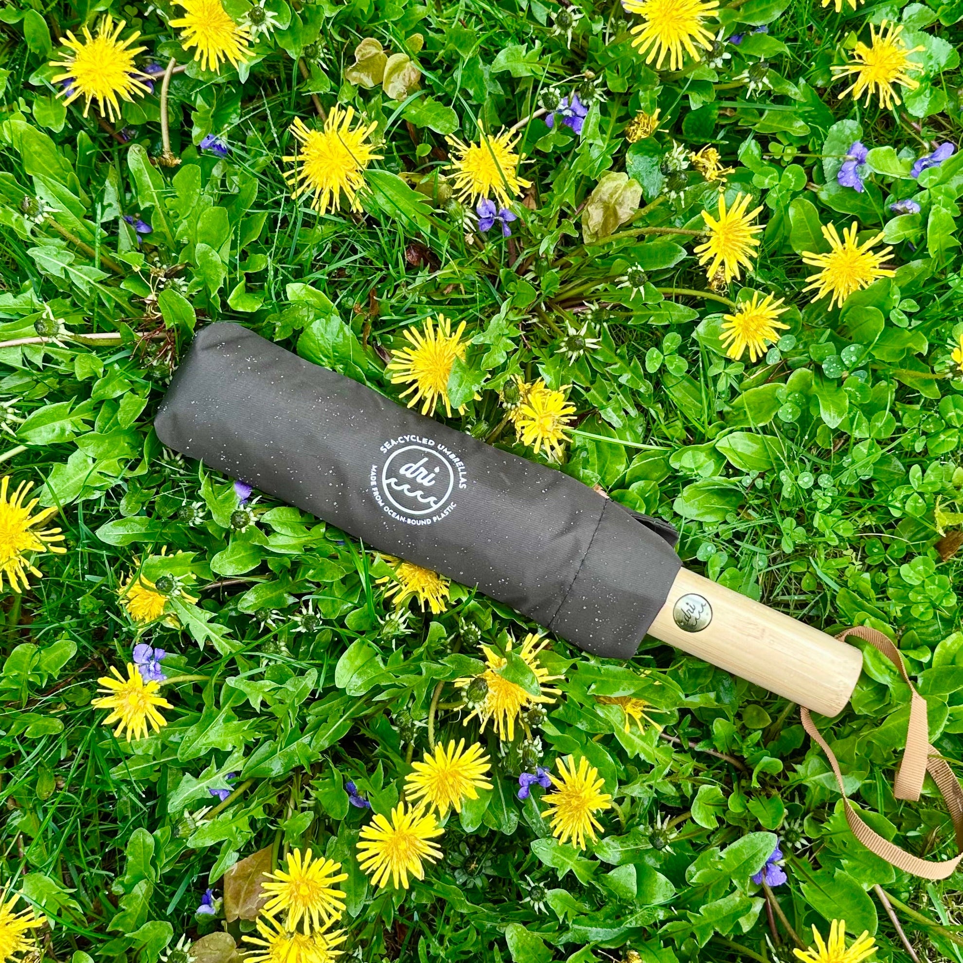 Black umbrella with bambo handle